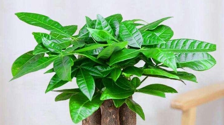 現(xiàn)代辦公室裝修，需要滿足哪些點(diǎn)？